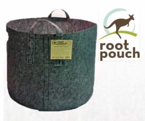 The Root Pouch 100 Gallon w/ Handle (10/Pk)