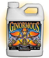 Ginormous 5 gal