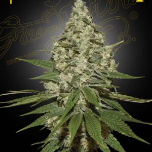 Super Lemon Haze (Feminised) Lemon Skunk x Super Silver Haze 5- Seed
